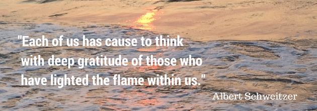 A Shout Out of Gratitude + New Volunteer Opportunities