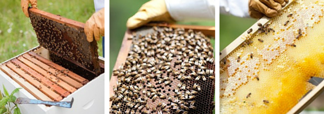 We’re growing! Meet our newest members.