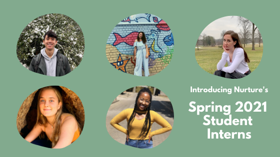 Introducing our Spring 2021 Interns